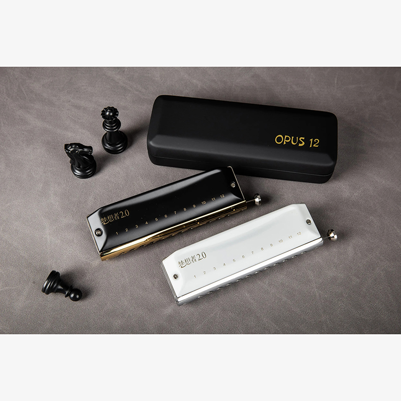 12-hole chromatic harmonica in two colors