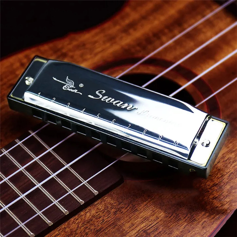 Diatonic blues harmonica in 5 pop colors - silver color