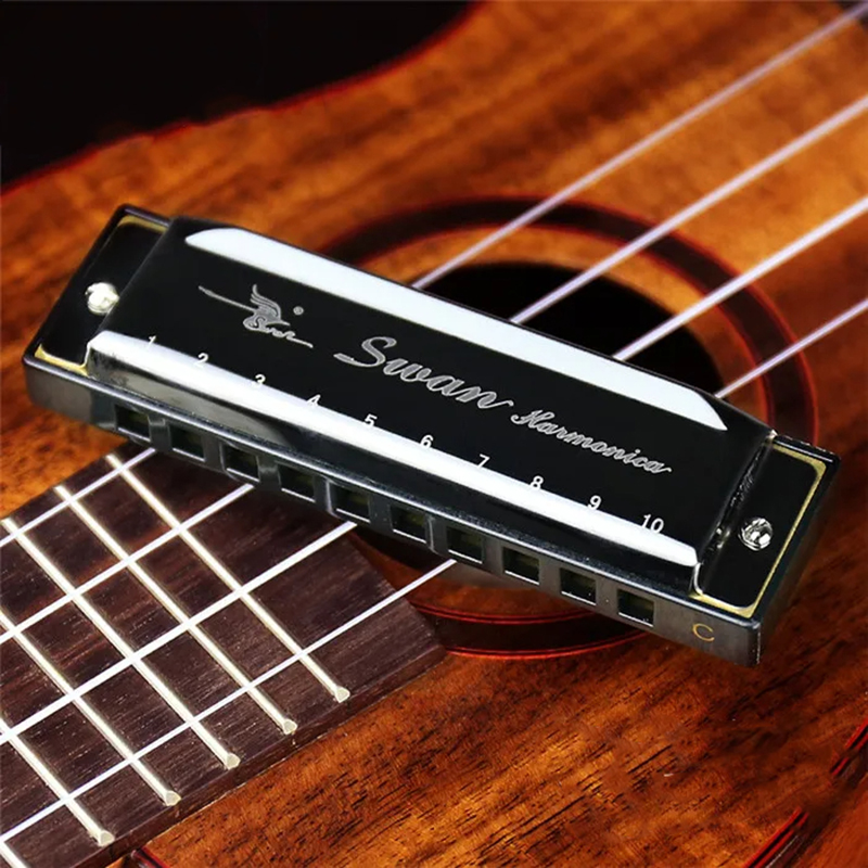 Diatonic blues harmonica in 5 pop colors - black color