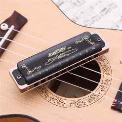 Glossy black diatonic harmonica with 7 tunings.