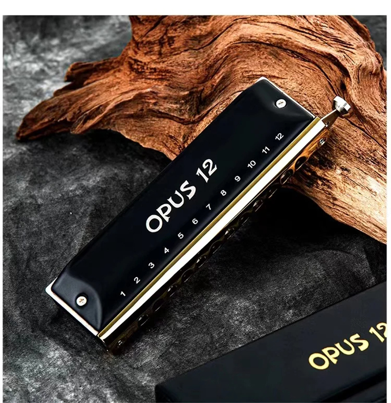 Magnificent 12-hole chromatic steel harmonica