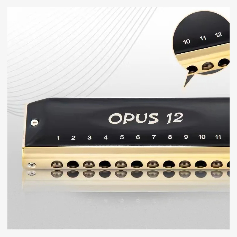 Details of a 12-hole chromatic steel harmonica
