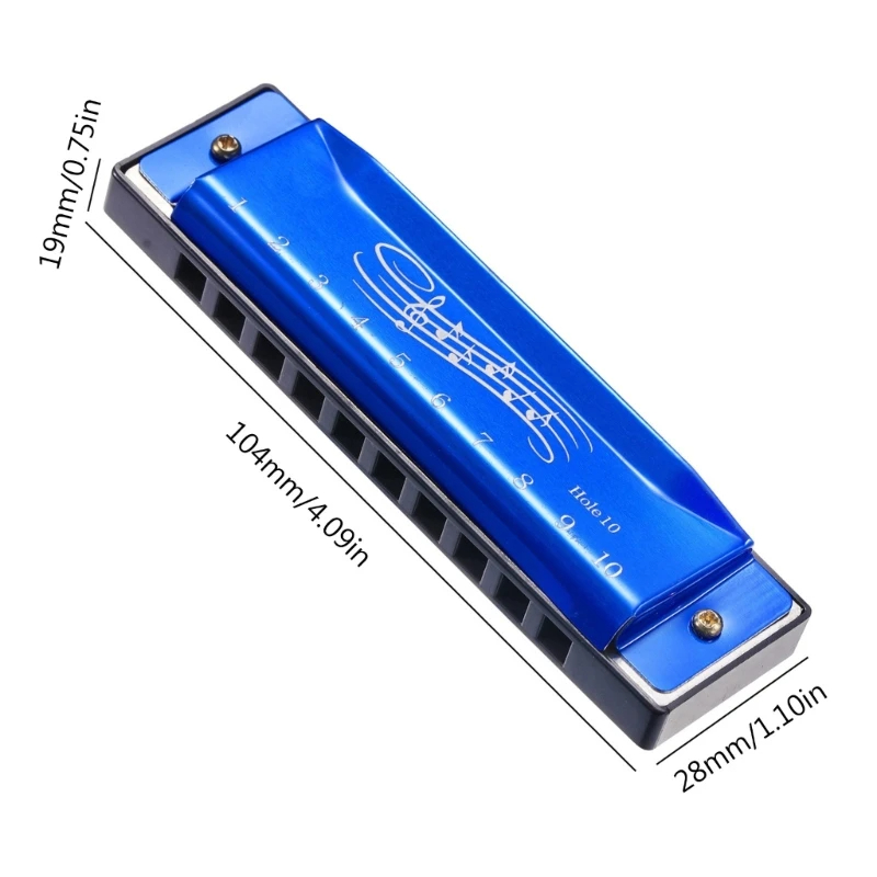 Standard diatonic harmonica dimensions in 6 colors