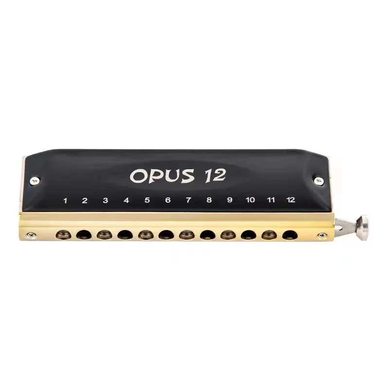Full view of a 12-hole chromatic steel harmonica