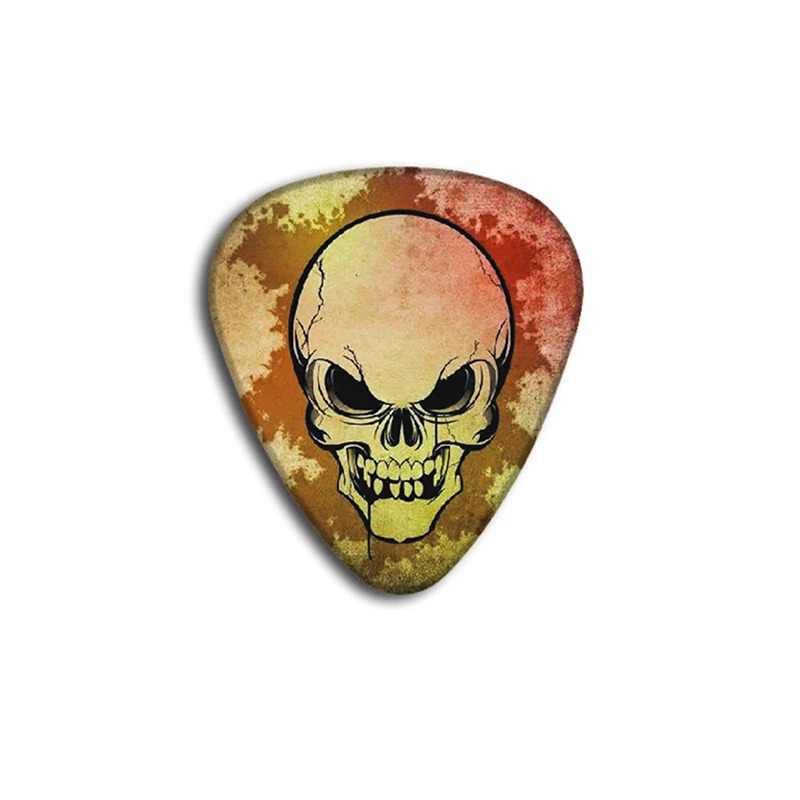 Example of a pick from the set of 10 picks with skull motifs