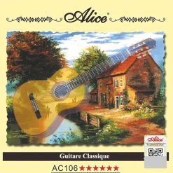 Classic Guitar Strings Learning Strings - basic strings