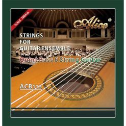 Strings for Classical Guitar in Sets - Low Fifth String for Guitar