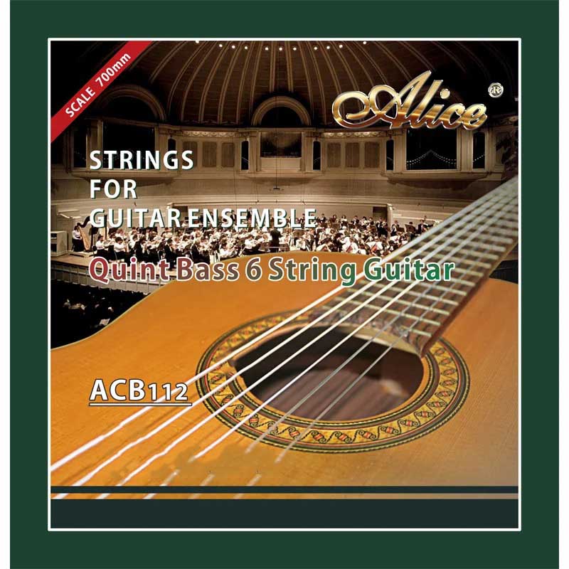 Strings for Classical Guitar in Sets - Low Fifth String for Guitar