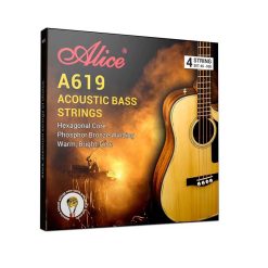 Electric Bass Strings - For Professional Use, Phosphor Bronze