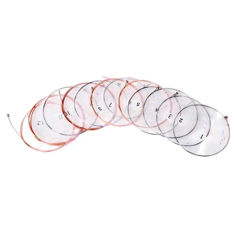 12-String Acoustic Guitar Strings - Excellent Resonance, Bright Tone, and Rich Harmonies