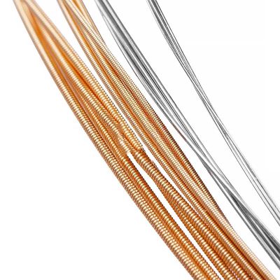 Detailed view of the strings of a banjo - For learning