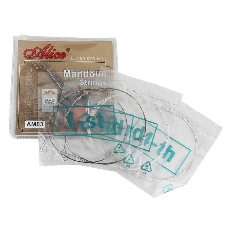 Detailed view of mandolin strings - Ideal for learning