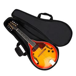 Bohemian Travel Mandolin Case