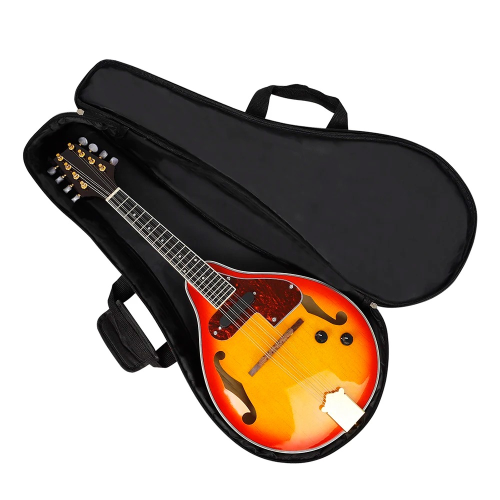 Bohemian Travel Mandolin Case