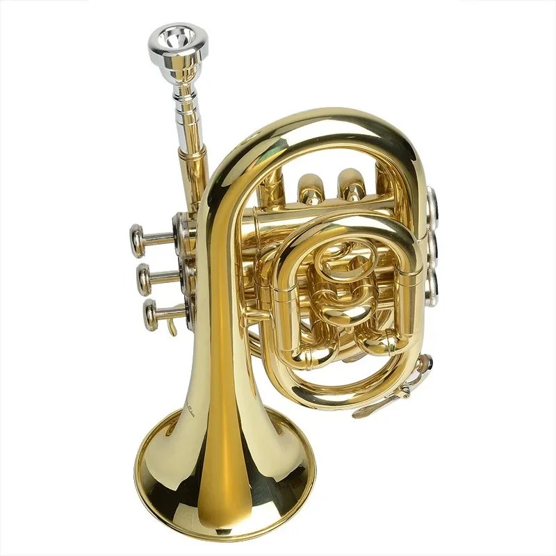 Mini Avant Bb Trumpet for Kids and Beginners - Compact, Golden Brass, with Case and Accessories