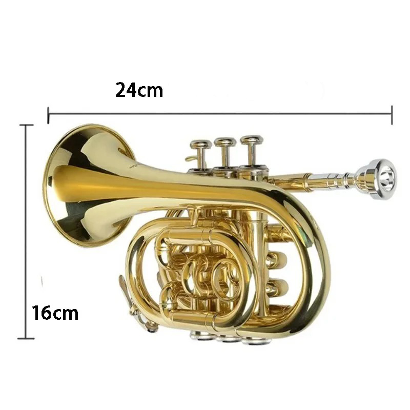Dimensions of Mini B-flat Trumpet for Children and Beginners - Compact, Golden Brass, with Case and Accessories