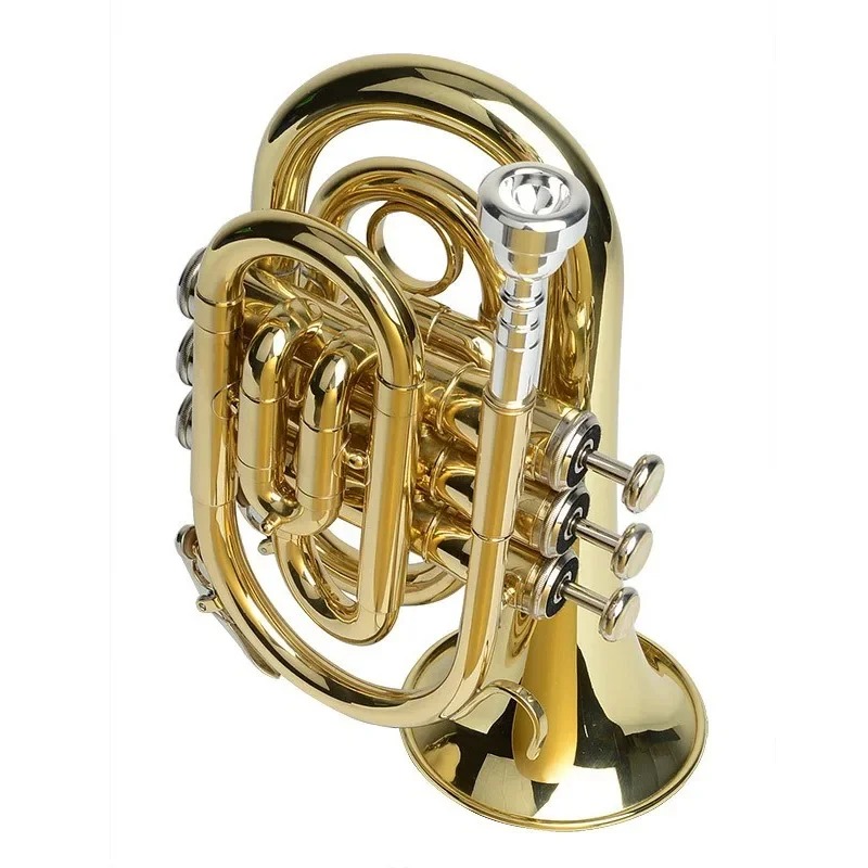 Mini Trumpet in Bb for Children and Beginners - Compact, Golden Brass, with Case and Accessories